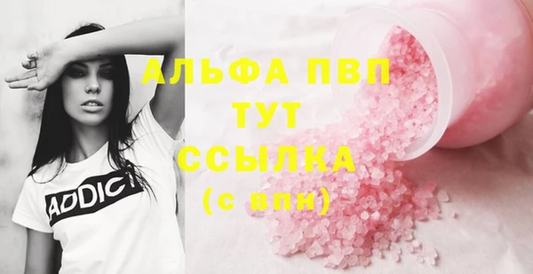 СК Абаза